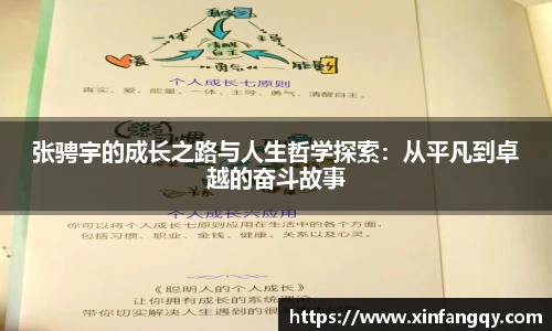 k1十年体育品牌